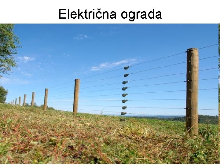 Električna ograda 