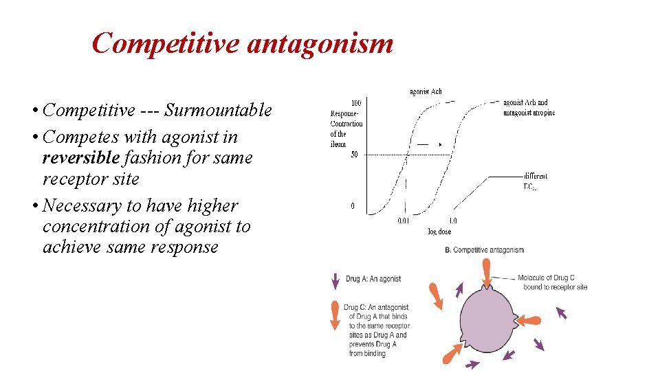 Competitive antagonism • Competitive --- Surmountable • Competes with agonist in reversible fashion for