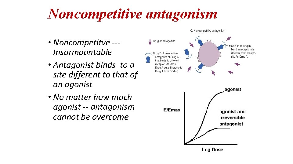 Noncompetitive antagonism • Noncompetitve --Insurmountable • Antagonist binds to a site different to that