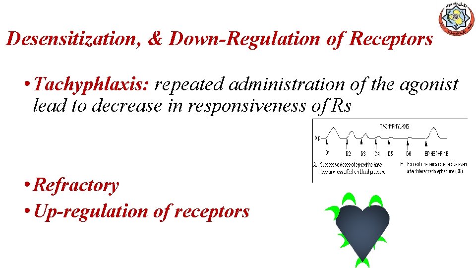 Desensitization, & Down-Regulation of Receptors • Tachyphlaxis: repeated administration of the agonist lead to