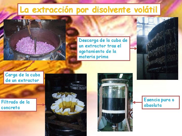 La extracción por disolvente volátil Descarga de la cuba de un extractor tras el