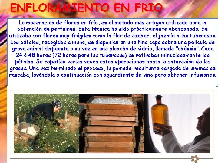 ENFLORAMIENTO EN FRIO La maceración de flores en frío, es el método más antiguo