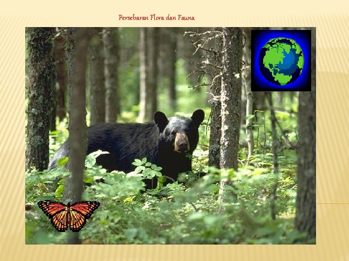 Persebaran Flora dan Fauna 