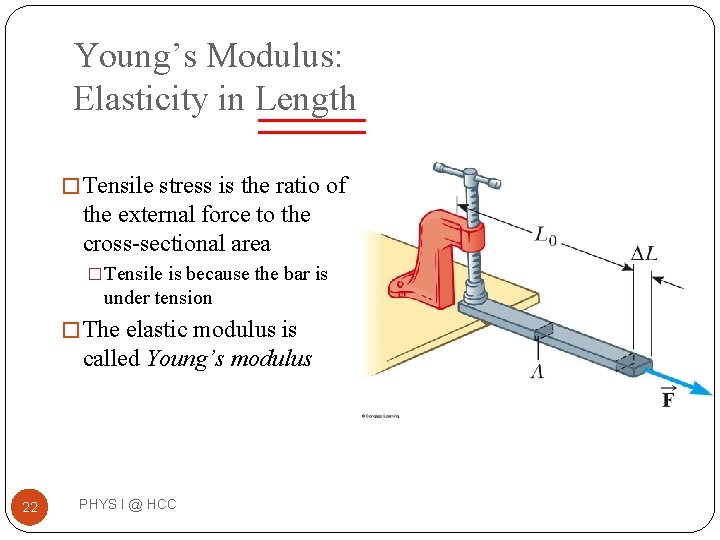 Young’s Modulus: Elasticity in Length � Tensile stress is the ratio of the external Young’s Modulus: Elasticity in Length � Tensile stress is the ratio of the external
