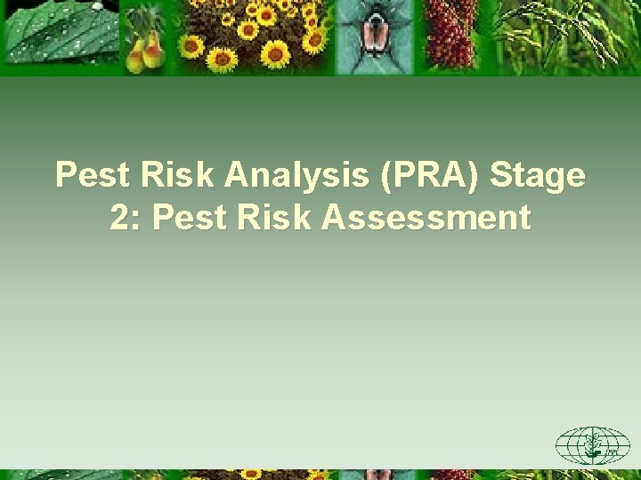 Pest Risk Analysis (PRA) Stage 2: Pest Risk Assessment 