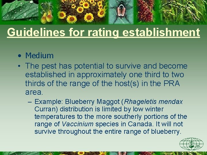 Guidelines for rating establishment • Medium • The pest has potential to survive and