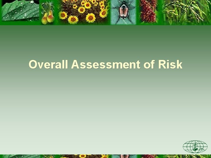 Overall Assessment of Risk 