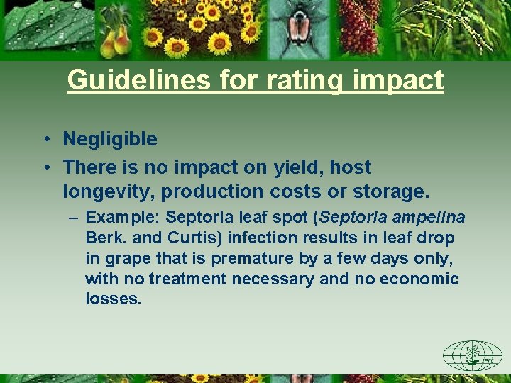 Guidelines for rating impact • Negligible • There is no impact on yield, host