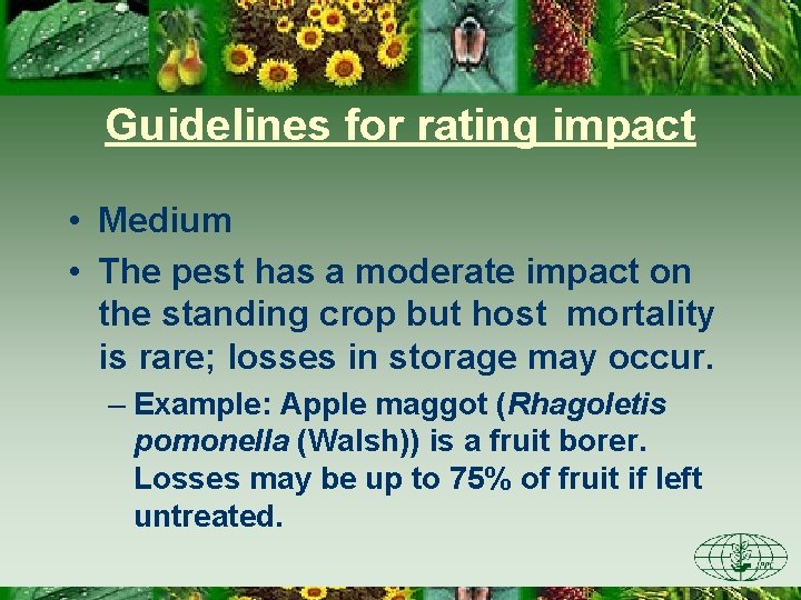Guidelines for rating impact • Medium • The pest has a moderate impact on