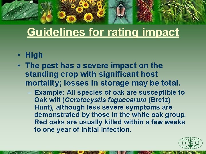 Guidelines for rating impact • High • The pest has a severe impact on