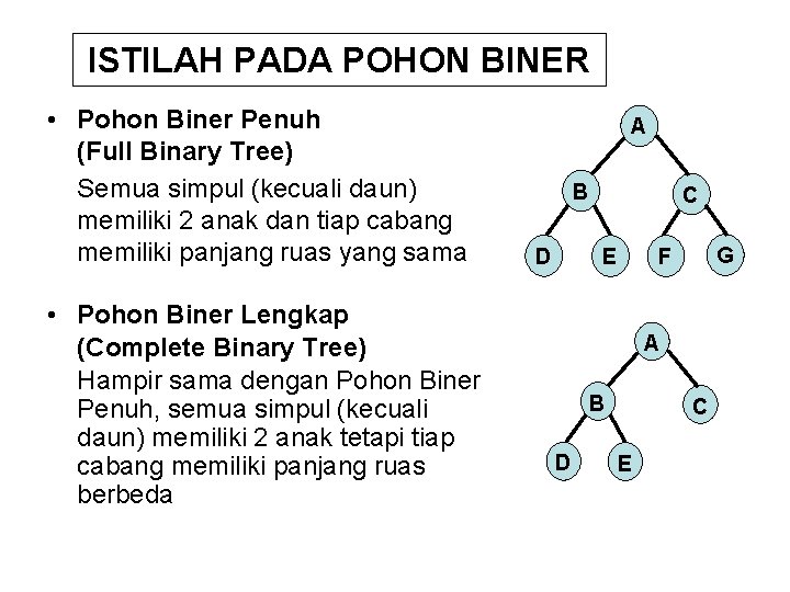 ISTILAH PADA POHON BINER • Pohon Biner Penuh (Full Binary Tree) Semua simpul (kecuali