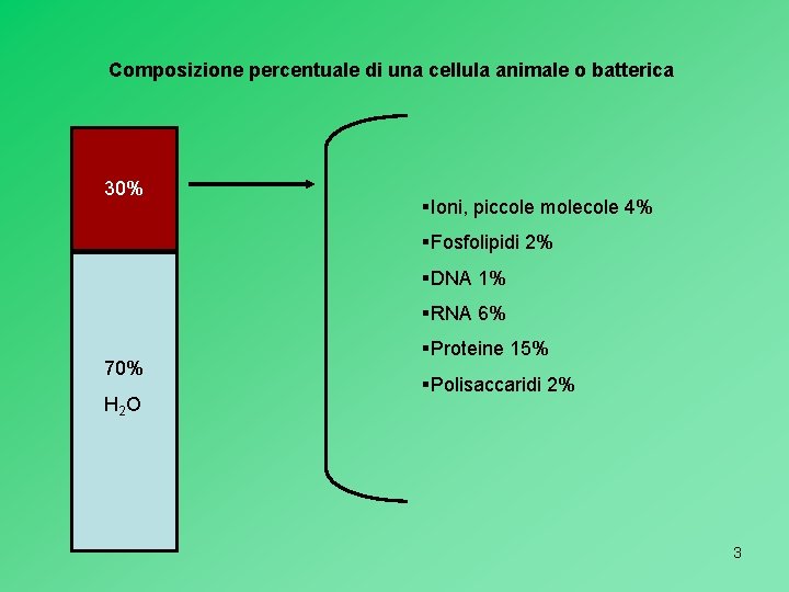 Composizione percentuale di una cellula animale o batterica 30% §Ioni, piccole molecole 4% §Fosfolipidi