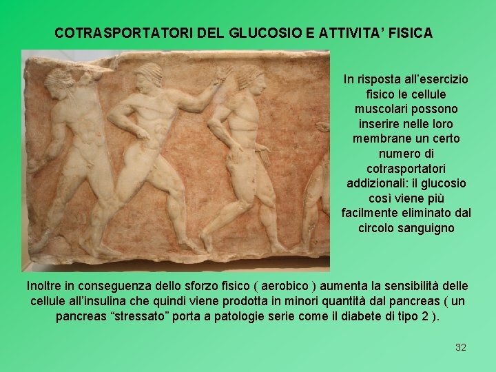 COTRASPORTATORI DEL GLUCOSIO E ATTIVITA’ FISICA In risposta all’esercizio fisico le cellule muscolari possono