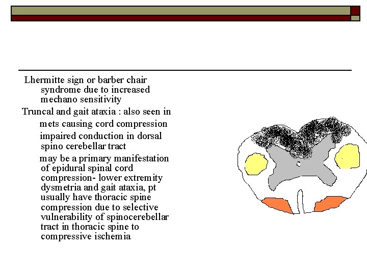 Lhermitte sign or barber chair syndrome due to increased mechano sensitivity Truncal and gait