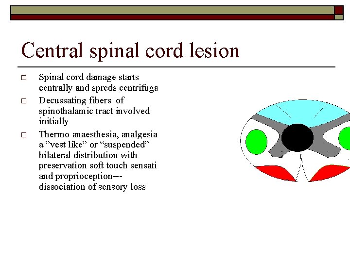 Central spinal cord lesion o o o Spinal cord damage starts centrally and spreds