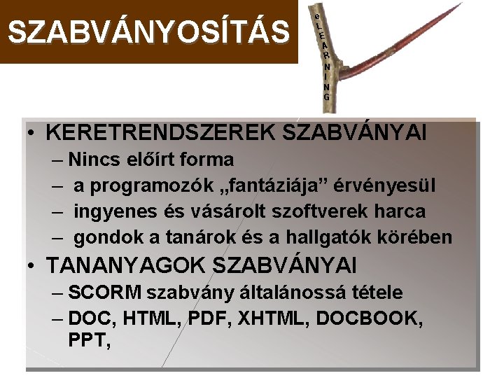 SZABVÁNYOSÍTÁS e L E A R N I N G • KERETRENDSZEREK SZABVÁNYAI –