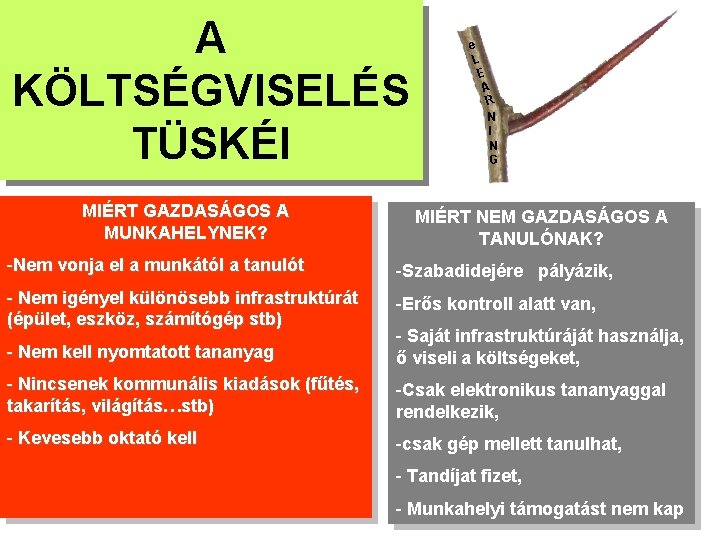 A KÖLTSÉGVISELÉS TÜSKÉI MIÉRT GAZDASÁGOS A MUNKAHELYNEK? e L E A R N I