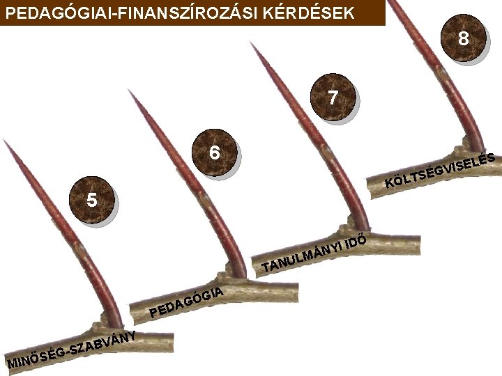 PEDAGÓGIAI-FINANSZÍROZÁSI KÉRDÉSEK 8 7 6 TSÉ KÖL 5 TAN A PED S MINŐ ÉG