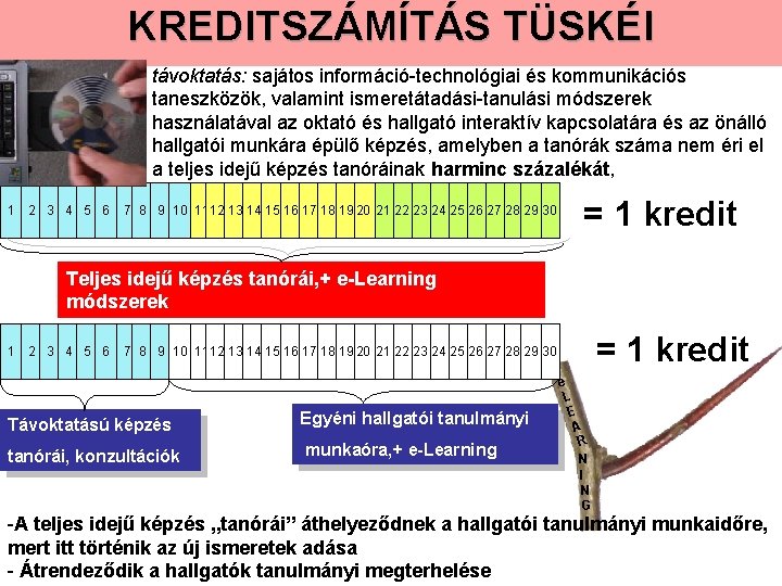 KREDITSZÁMÍTÁS TÜSKÉI távoktatás: sajátos információ-technológiai és kommunikációs taneszközök, valamint ismeretátadási-tanulási módszerek használatával az oktató