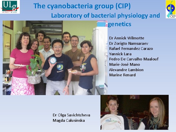 The cyanobacteria group (CIP) Laboratory of bacterial physiology and ggggggggggg genetics Dr Annick Wilmotte