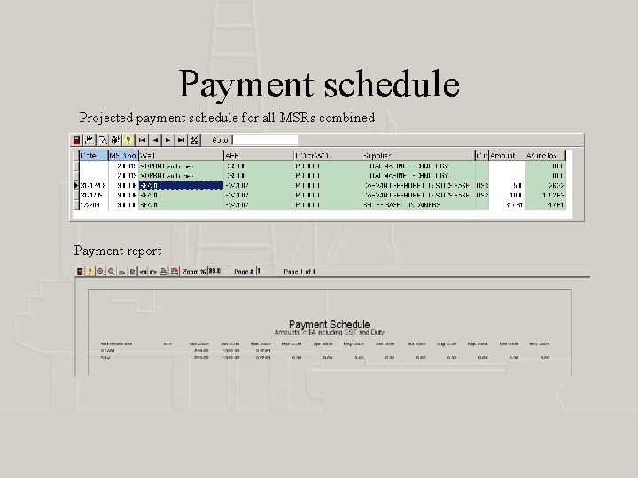 Payment schedule Projected payment schedule for all MSRs combined Payment report 