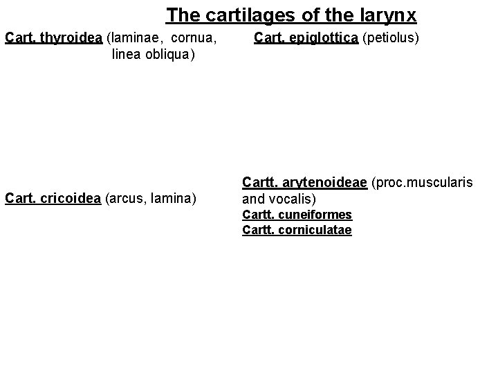 The cartilages of the larynx Cart. thyroidea (laminae, cornua, linea obliqua) Cart. cricoidea (arcus,