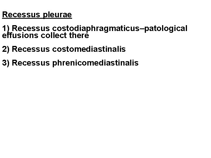 Recessus pleurae 1) Recessus costodiaphragmaticus–patological effusions collect there 2) Recessus costomediastinalis 3) Recessus phrenicomediastinalis