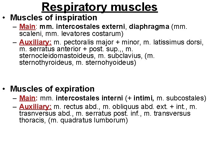 Respiratory muscles • Muscles of inspiration – Main: mm. intercostales externi, diaphragma (mm. scaleni,