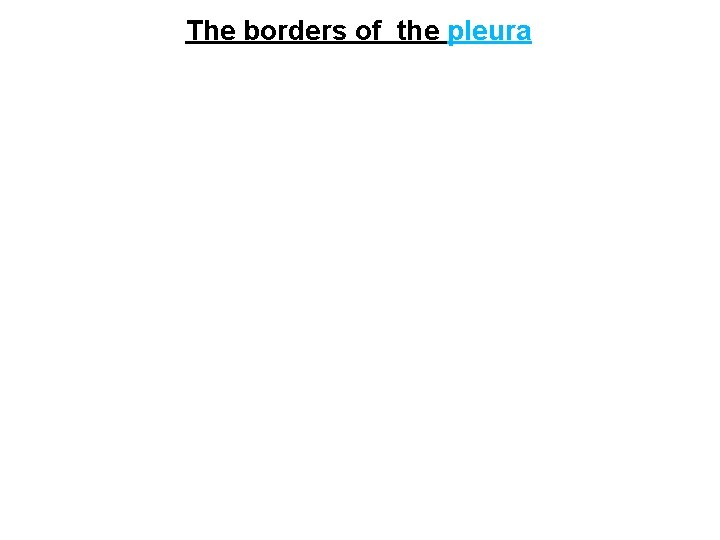 The borders of the pleura 