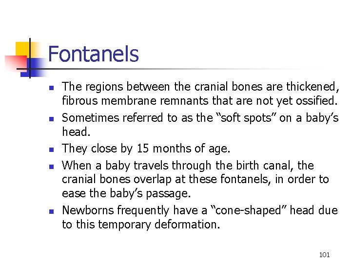 Fontanels n n n The regions between the cranial bones are thickened, fibrous membrane