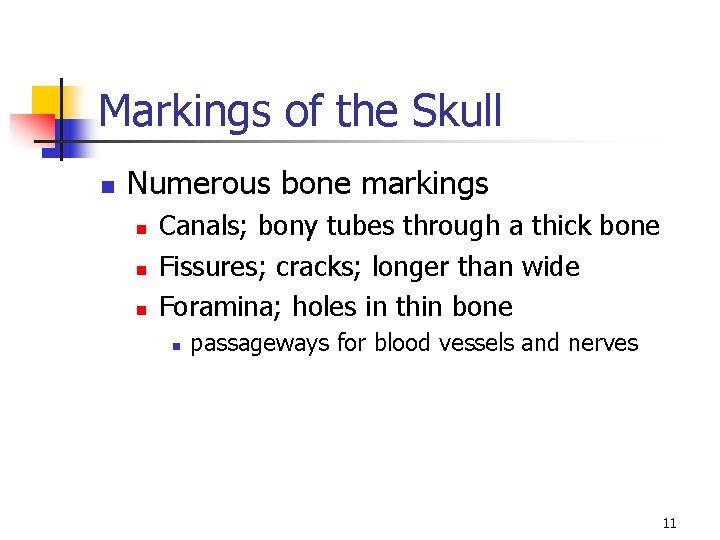 Markings of the Skull n Numerous bone markings n n n Canals; bony tubes