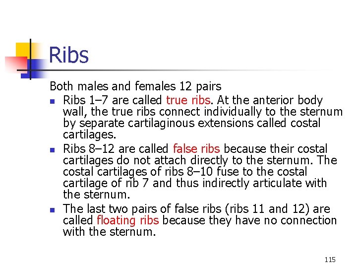 Ribs Both males and females 12 pairs n Ribs 1– 7 are called true