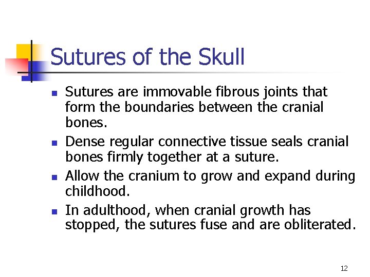 Sutures of the Skull n n Sutures are immovable fibrous joints that form the