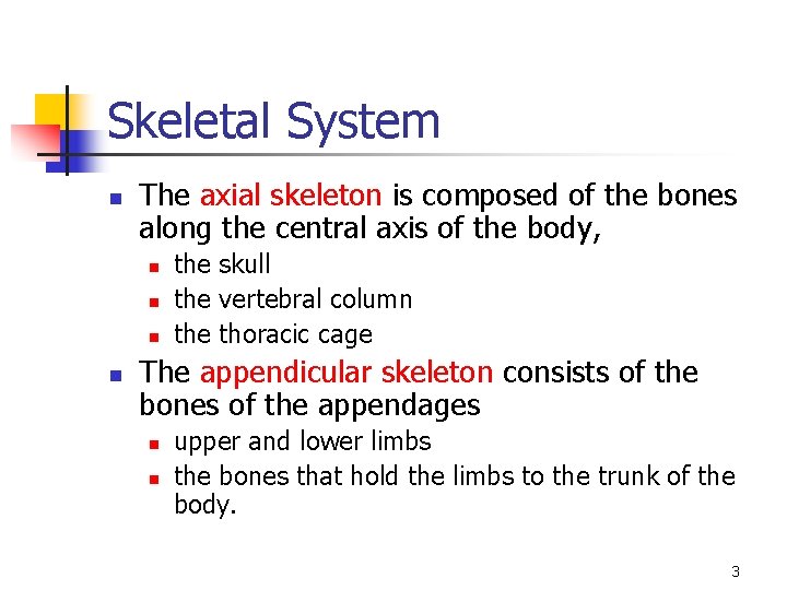 Skeletal System n The axial skeleton is composed of the bones along the central