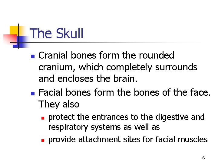 The Skull n n Cranial bones form the rounded cranium, which completely surrounds and