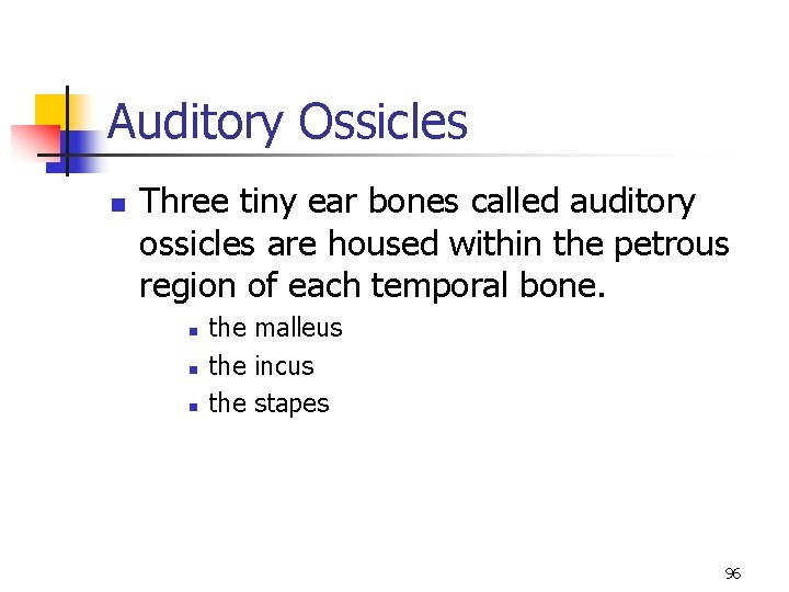 Auditory Ossicles n Three tiny ear bones called auditory ossicles are housed within the