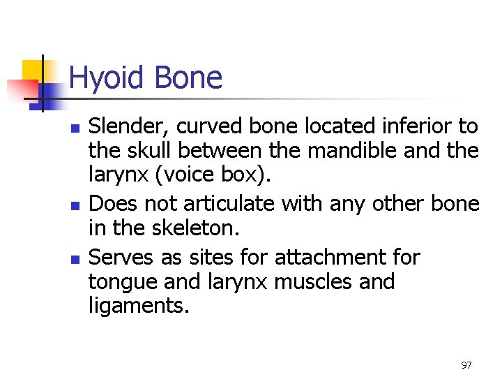 Hyoid Bone n n n Slender, curved bone located inferior to the skull between