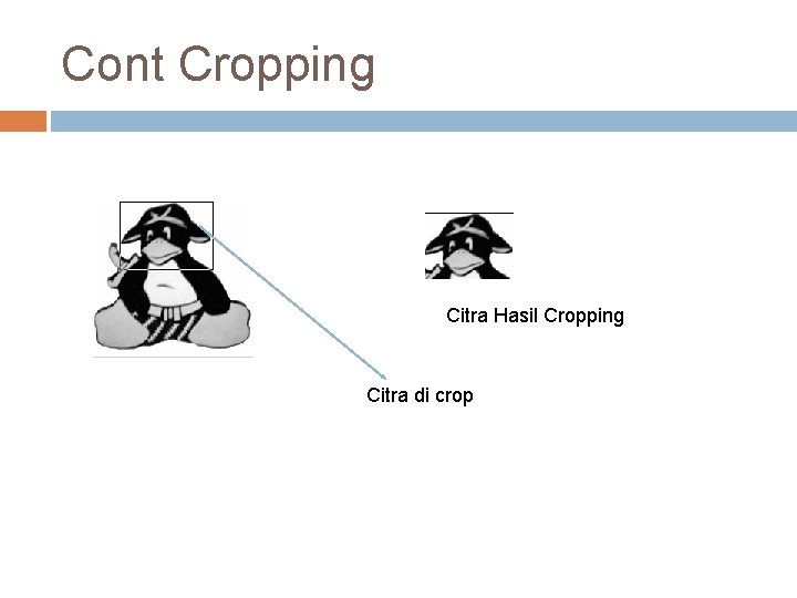 Cont Cropping Citra Hasil Cropping Citra di crop 