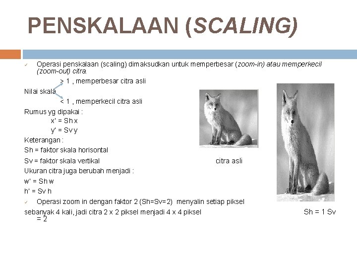 PENSKALAAN (SCALING) Operasi penskalaan (scaling) dimaksudkan untuk memperbesar (zoom-in) atau memperkecil (zoom-out) citra. >