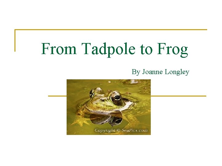 From Tadpole to Frog By Joanne Longley 