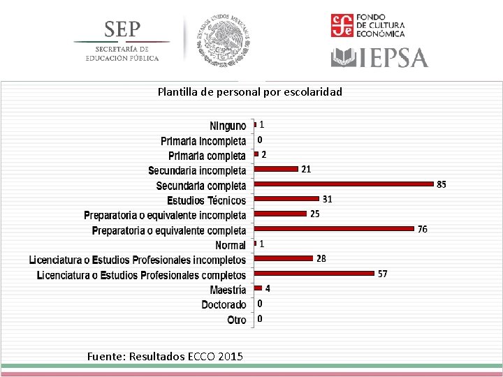 Plantilla de personal por escolaridad Fuente: Resultados ECCO 2015 