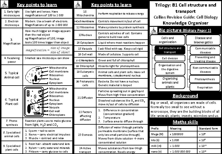 Key points to learn 1. Early light microscopes Use light and lenses. Have magnifications