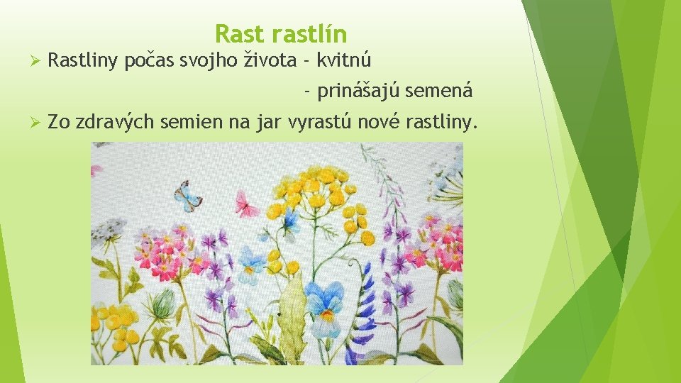 Rast rastlín Ø Rastliny počas svojho života - kvitnú - prinášajú semená Ø Zo