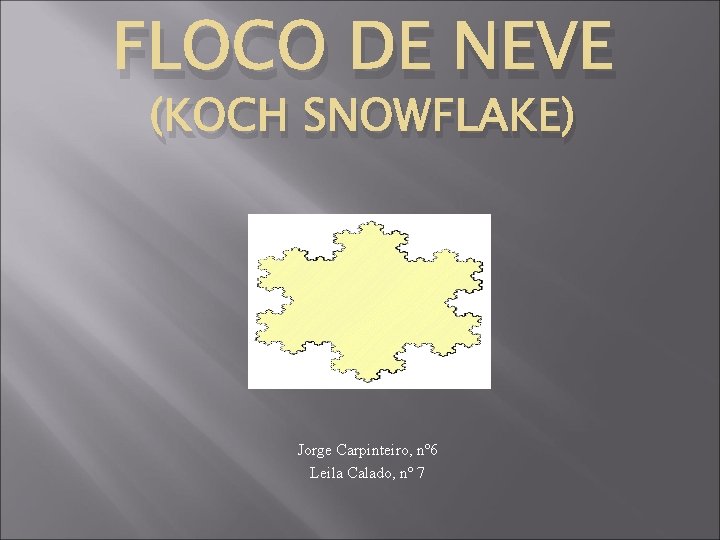 FLOCO DE NEVE (KOCH SNOWFLAKE) Jorge Carpinteiro, nº 6 Leila Calado, nº 7 