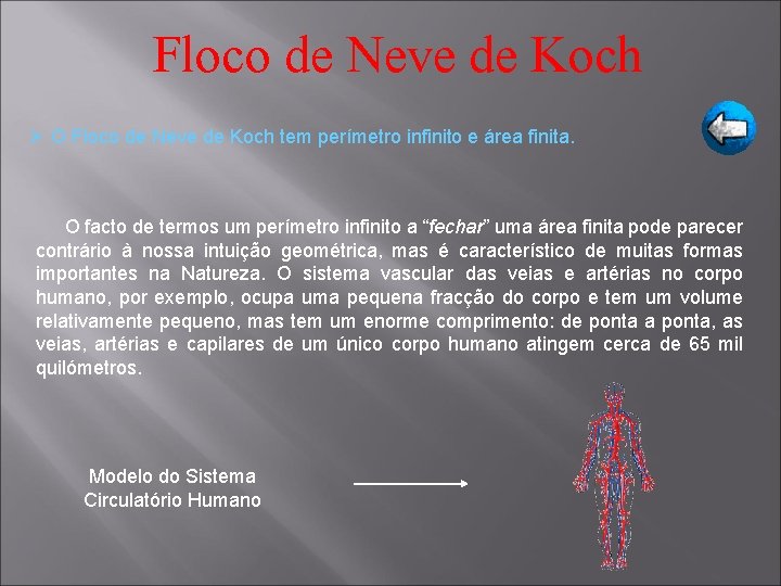 Floco de Neve de Koch Ø O Floco de Neve de Koch tem perímetro