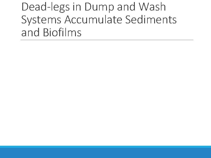 Dead-legs in Dump and Wash Systems Accumulate Sediments and Biofilms 