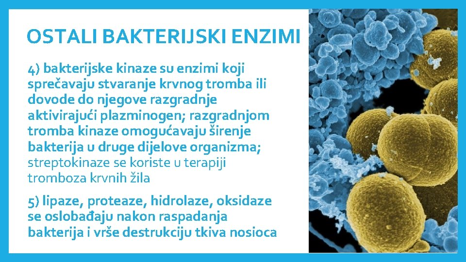 OSTALI BAKTERIJSKI ENZIMI 4) bakterijske kinaze su enzimi koji sprečavaju stvaranje krvnog tromba ili