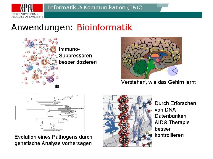 Informatik & Kommunikation (I&C) Anwendungen: Bioinformatik Immuno. Suppressoren besser dosieren Verstehen, wie das Gehirn