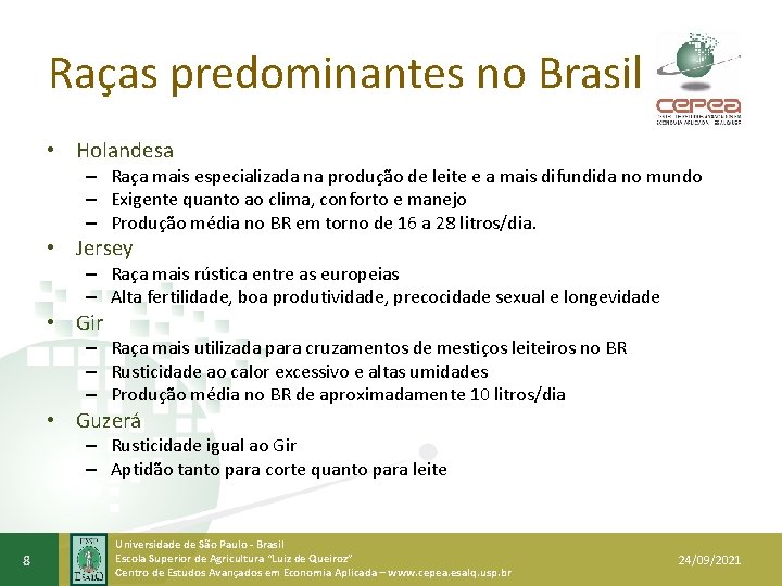 Raças predominantes no Brasil • Holandesa – Raça mais especializada na produção de leite