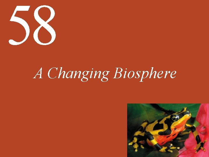 58 A Changing Biosphere 